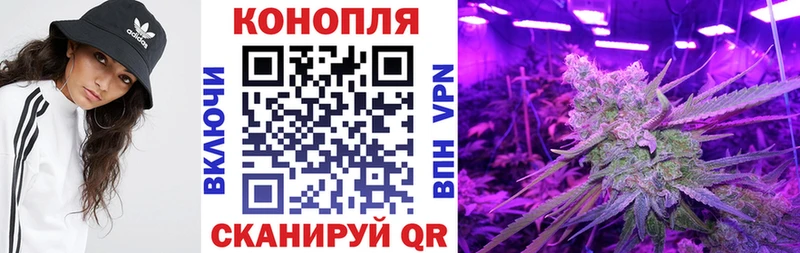 Где найти наркотики Астрахань Бошки Шишки  Меф  COCAIN  АМФЕТАМИН  ГАШ  A PVP 