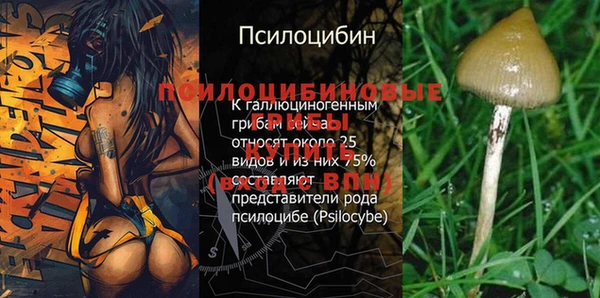 амф Абаза