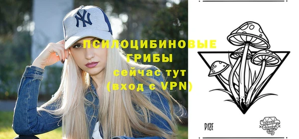 амф Абаза