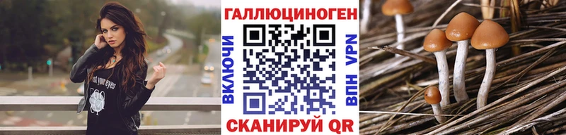 Псилоцибиновые грибы Psilocybe мега ONION Астрахань